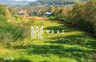 Teren | Intravilan | 2439 MPU | Fantanele - 2