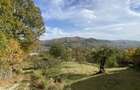 Teren panoramic retras, cu panta lina, utilitati si livada - 14