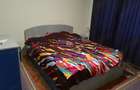 inchiriere apartament 2 camere str Traian - 5
