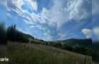 Teren cu poten?ial turistic, cadru natural rar, 20.000 mp Sacuieu - 11