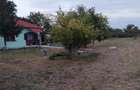 Casă cu Teren 2900 Mp în Izvoru (Gogoșari) - 6