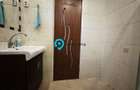 Apartament 4 camere, vila, 120 mp, Hala Traian, investi?ie - 18