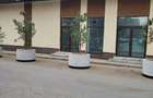 Inchiriez sptatiu comercial - 2