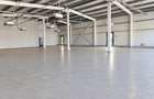 Spațiu Comercial 600 mp de Închiriat | Pantelimon, Sfântul Gheorghe | Fost Profi