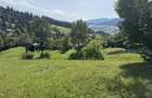 Tren de vanzare - Campulung Moldovenesc - 2
