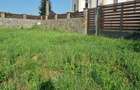 Teren imprejmuit cu gard placat cu piatra naturala 11 arii la