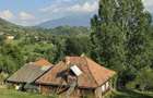 De Vanzare: Teren Panoramic de 12.009 mp la Drumul Principal in Magura (Moeciu) Ideal Complex Turistic / Pensiune / Cabane - 2