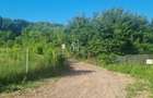 Teren Extravilan/Padure 90 000 Mp de Vanzare Zona Corunca/Acatari - 4