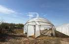Teren intravilan agricol | 7029 mp | Satu Nou | Bihor