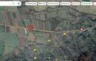 Teren intravilan deschidere 106 m la DN 10 Brasov-Buzau ideal afacere - 2