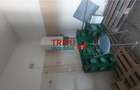 Spatiu comercial de inchiriat in Vinerea - 10