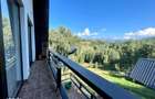 INVESTITIE Vila moderna + vila la rosu, teren 1480 padure - 5