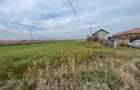 Vanzare-Parcele-Teren-intravilan-300mp-Calea-Feldioarei-Stupini-Brasov
