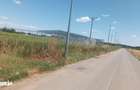 Teren Intravilan Buftea langa Autostrada A0 - ideal hale industriale - 6