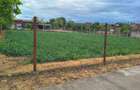 Teren Construcții intravilan de 900 mp, în Biled - 1