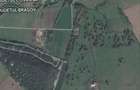 TEREN 5.800 MP DE VANZARE Harman Brasov