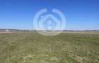 Vanzare Teren Arabil Cristian, Sibiu | 11682 Mp - 2