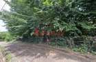 Teren intravilan, 3436mp, Zona Podul Jelnei