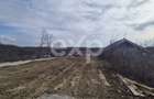Teren 1.500 mp lângă pădure, Albota – liniște, natură și potențial de parcelare - 2