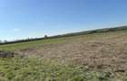 Vand 8 arii teren intravilan, Coltau, Maramures - 3