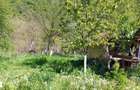 Teren intrare Herculane,E 70 Herculane-Orsova - 1