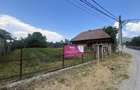 GRADINA BUNICII DE ODINIOARA,DE VANZARE -PAPAUTI,COVASNA. - 4