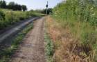 Vand teren Tuzla, intravilan, 2500 mp, deschidere 45m - 5