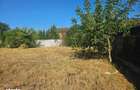 De Vanzare - Teren Intravilan 463mp Cazasu, Str.Cimbrisorului - 4