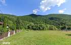 Vand teren in Retezat, 1260 mp, intre pensiuni si case de vacanta - 6