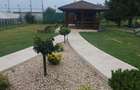 Casa P+M de vanzare,str.Nucului,Baia Mare - 1