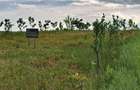2900m2 teren intravilan in comuna Ion Creanga jud Neamt - 4