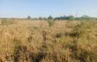 Targu Neamt, Punct Manesti, cota parte 1/2, ID: R2759104 - 4