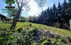 TEREN intravilan BUCIUM - IASI, 1100mp, toate utilitatile
