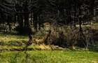 Vand teren intravilan - 3