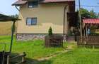 Case si teren de vanzare ALBAC, ALBA - 4