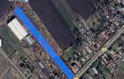 4500 mp Tartasesti Baldana intre case, cu gaze si curent - 1