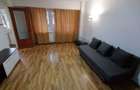 Lacul Tei inchiriere garsoniera Pet-Friendly - 10