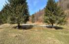 Teren exceptional de vanzare, 5170 mp zona Plaiul Foii, Zarnesti