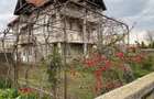 Casa la rosu in Milcov Olt - 3