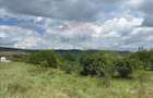 Teren de vanzare 13783mp, front la DN, parcela unica zona de vest - 8
