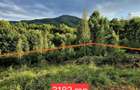 Natura/ Cabana de weekend/liniste, relaxare la Sinca Noua Brasov - 3