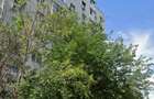 Apartament 3 camere, balcon, lift -Metro Dristor 14 minute - 6