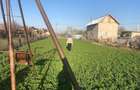 Vand teren Comana - sat Budeni