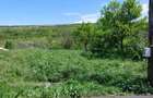 Vand teren intravilan, 2170 mp., sat Morau, com. Corne?ti, jud. Cluj, intabulat cu utilita?i - 5