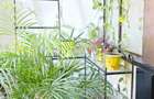 Inchiriere apartament 4 camere, Birou, Comercial - 2