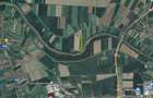 Teren de vanzare - Satu Mare - 1