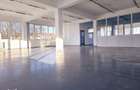 Spatiu comercial 500 mp Aurel Vlaicu Iasi 800.000 Euro - 10