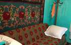 Vand teren 963mp, casa locuit 104mp, casa anexa 36mp, anexe cu beci, fantana mare. - 4