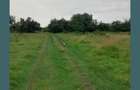 Teren extravilan de 15000 mp, în Filipeștii de Pădure - 2