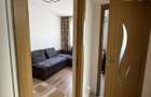 Apartament o camera de inchiriat Buziasului - 10